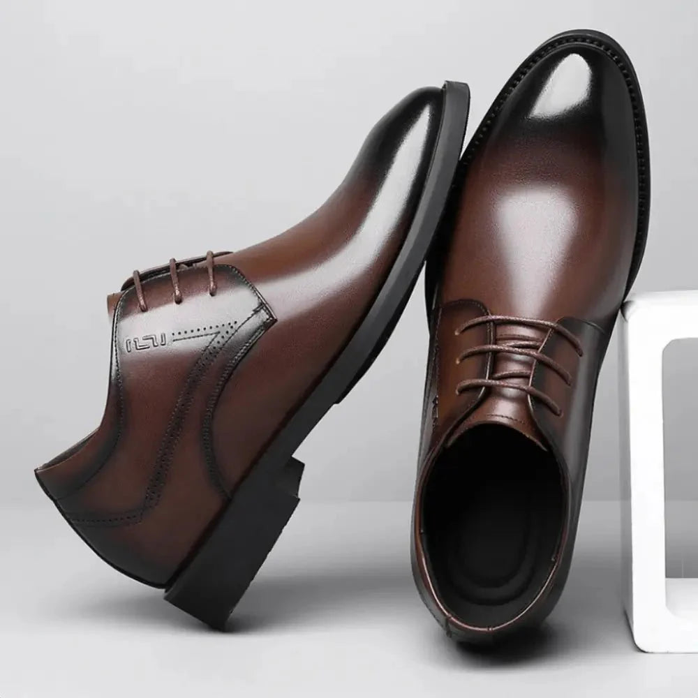 Brown Oxford