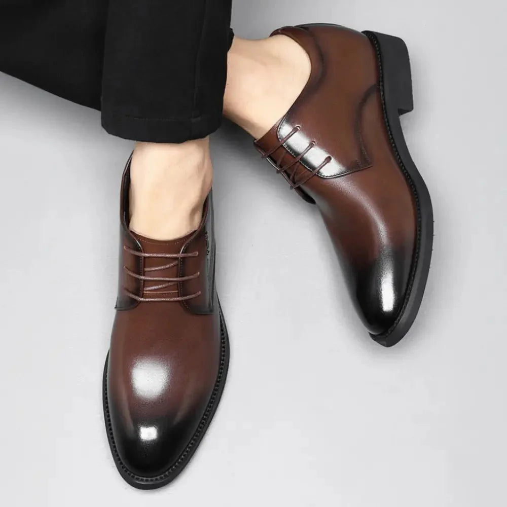 Brown Oxford